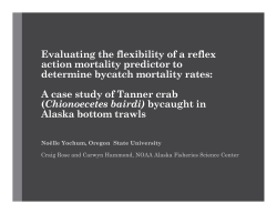 Evaluating the Flexibility of a Reflex Action