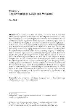 The Evolution of Lakes and Wetlands