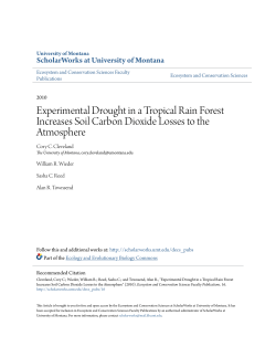 Experimental Drought in a Tropical Rain Forest Increases Soil