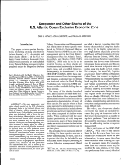 Deepwater and Other Sharks of the U.S. Atlantic Ocean Exclusive