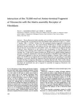 Interaction of the 70000-mol-wt Amino-terminal