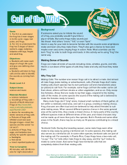 Call of the Wild - National Wildlife Federation