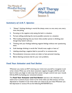 ANT Therapy Worksheet
