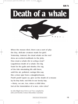 Death of a whale
