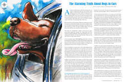 Mile High Dog &ndash; October 2016 article
