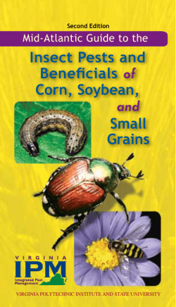 Insect Pests and Beneficials of Corn, Soybean, and