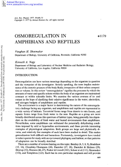 Osmoregulation in Amphibians and Reptiles