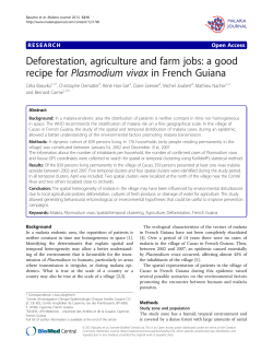 Deforestation, agriculture and farm jobs: a good recipe