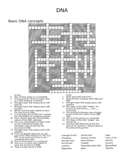 Basic DNA concepts