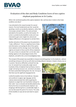 Evaluation of the diet and Body Condition Score of two captive