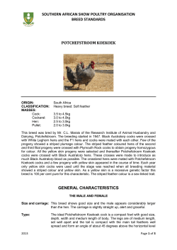 The South African Breed Standard for the Potch Koekoek