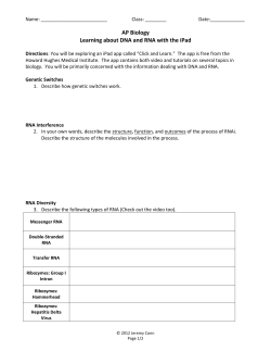 DNA and RNA Review Worksheet