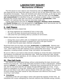 Mechanisms of Mitosis