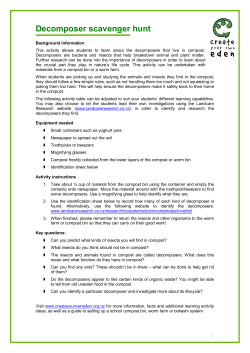 Decomposer scavenger hunt