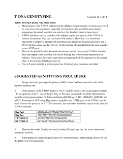 T-DNA GENOTYPING SUGGESTED GENOTYPING PROCEDURE