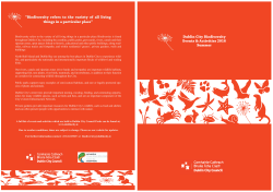 Dublin City Council Biodiversity: Summer Events Programme