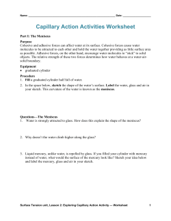 Capillary Action Activities Worksheet