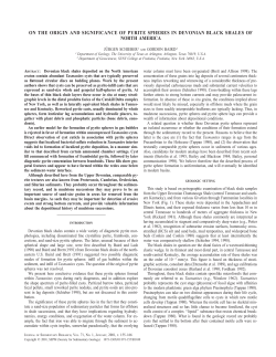 on the origin and significance of pyrite spheres