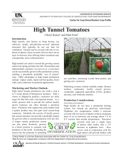 High Tunnel Tomatoes - University of Kentucky