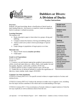 Dabblers or Divers: A Division of Ducks