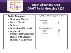 South Allegheny Area DRAFT Parish Grouping #224