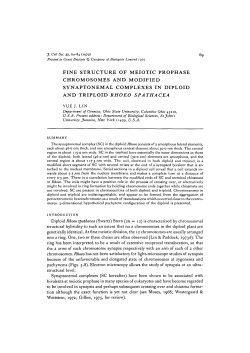 fine structure of meiotic prophase chromosomes and modified