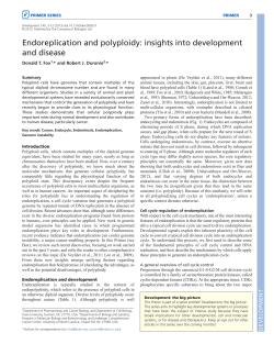 Endoreplication and polyploidy - Associa&ccedil;&atilde;o Brasileira de Medicina