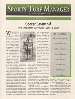 Soccer Safety ~