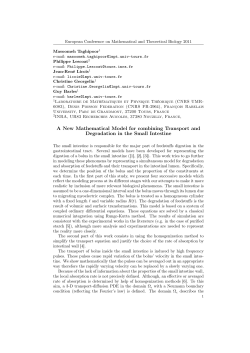 A New Mathematical Model for combining Transport and