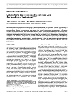 Linking Gene Expression and Membrane Lipid