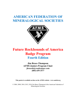 AFMS_FRA_Badge_Manual_Revised_2016
