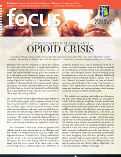 Focus Essay: FOCUS: Confronting the Opioid Crisis in Michigan