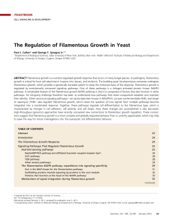 The Regulation of Filamentous Growth in Yeast