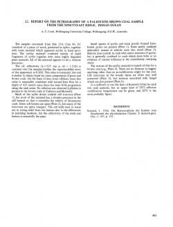 22. Report on the Petrography of a Paleocene Brown Coal Sample