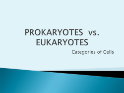 PROKARYOTES vs. EUKARYOTES
