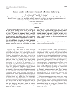 Aerobic performance limits in humans