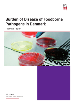FoodBurden DK - Technical Report