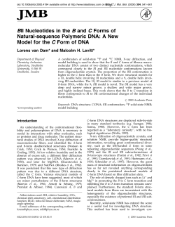 B II Nucleotides in the B and C Forms of Natural