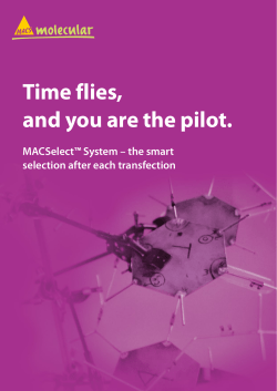 Time flies, and you are the pilot.