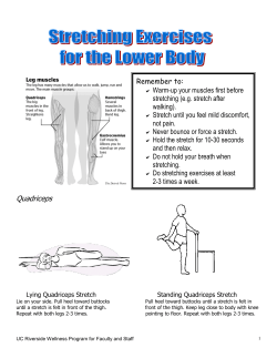 Stretches for Lower and Upper Body