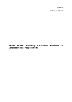 GREEN PAPER: Promoting a European framework for