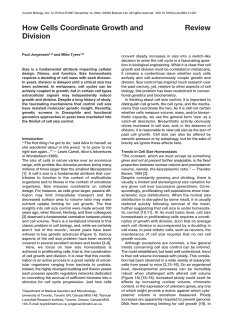 How cells coordinate growth and division
