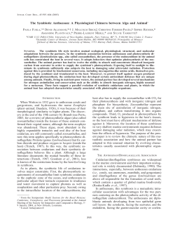 The Symbiotic Anthozoan: A Physiological Chimera
