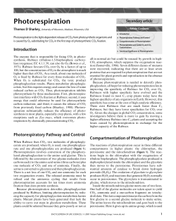 Photorespiration