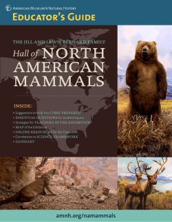 Hall of North American Mammals Educator`s Guide