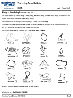 The Living Sea - Habitats