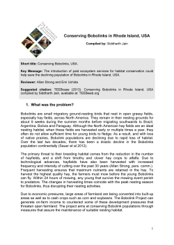 Conserving Bobolinks in Rhode Island, USA