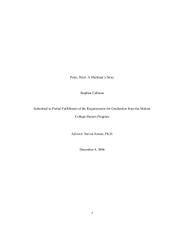 Peter, Peter: A Mailman`s Story by Stephen Calhoun
