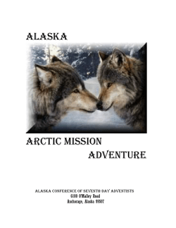 Arctic Mission Adventure
