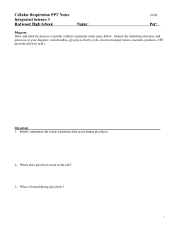 Cellular Respiration PPT Notes Integrated Science 3